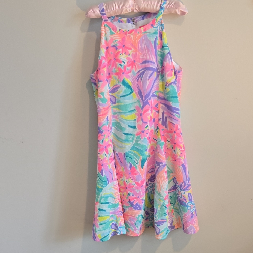 Lilly Pulitzer Fernanda Dress It Was All A Dream Pink Label 10